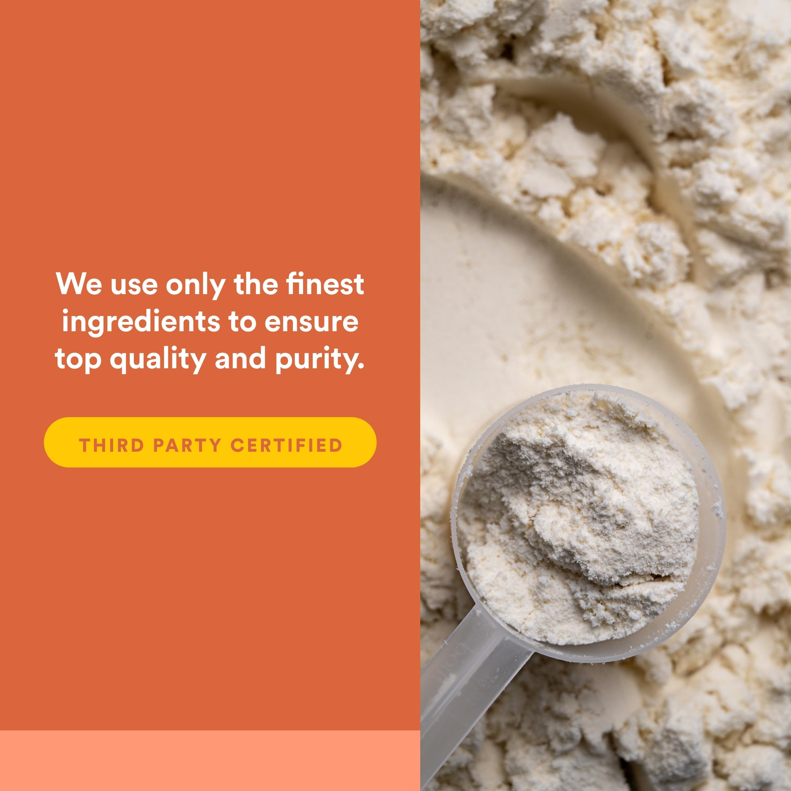 Natural Factors Whey Factors protéine non denaturée microfiltrée et pure