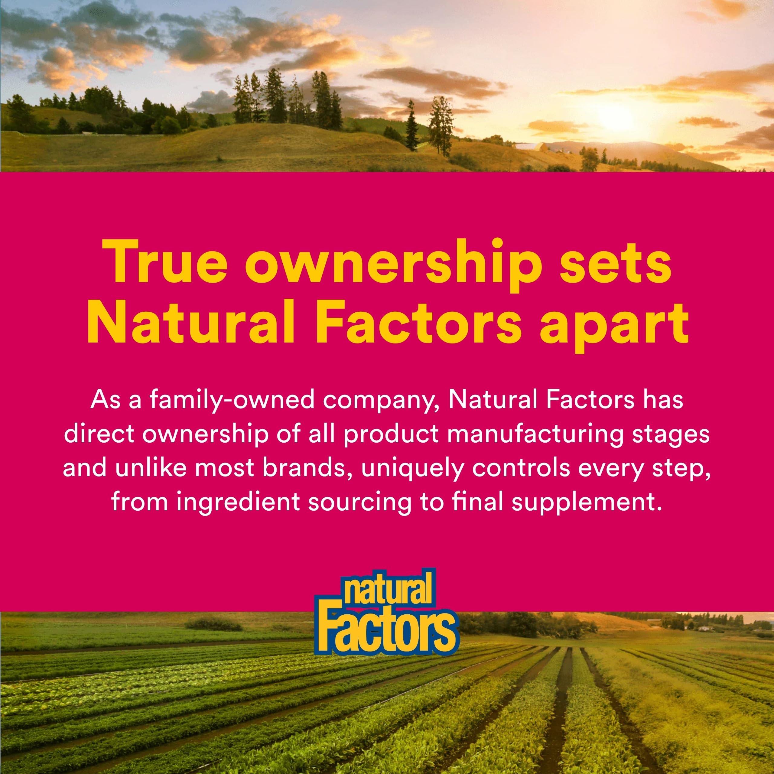 Natural Factors Zinc Bisglycinate option végétarienne adaptée à un mode de vie actif.