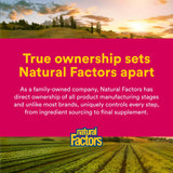 Natural Factors Zinc Bisglycinate option végétarienne adaptée à un mode de vie actif.