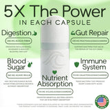 Natural Flow Prebiotique 5X Fibre – Capsules faciles à intégrer à votre routine.