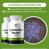 Natural Foundation Supplements Lactobacillus Reuteri – comprimés visibles, intégration facile dans la routine quotidienne.