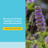 Natural Factors Encapsulation Vitex Gélules - encapsulation facilitant l’ingestion quotidienne.