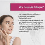 Naturalis Collagen Peptides Poudre d'origine pâturage herbe, fidèle à la source.