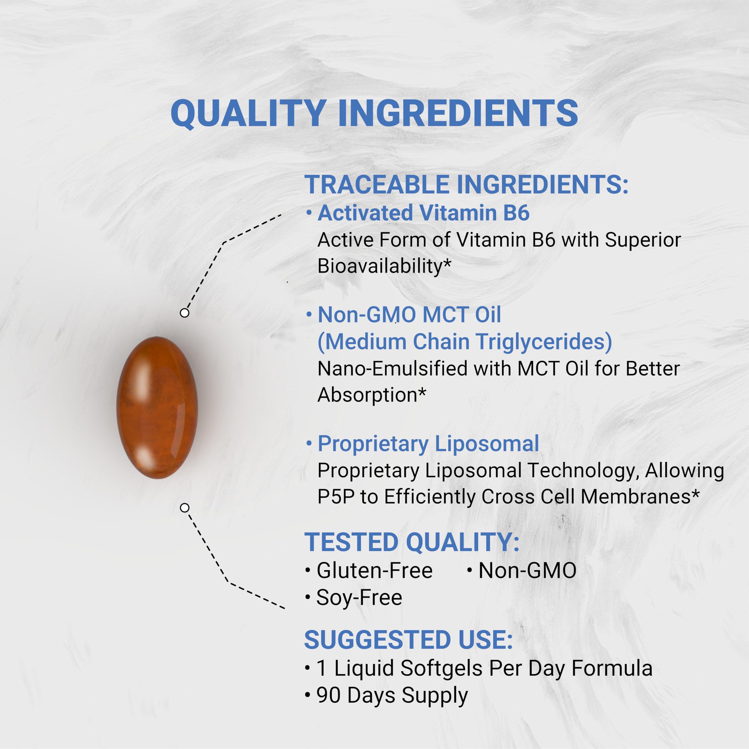 Gélules liposomales Naturalis P5P, faciles à avaler pour une absorption potentiellement améliorée.