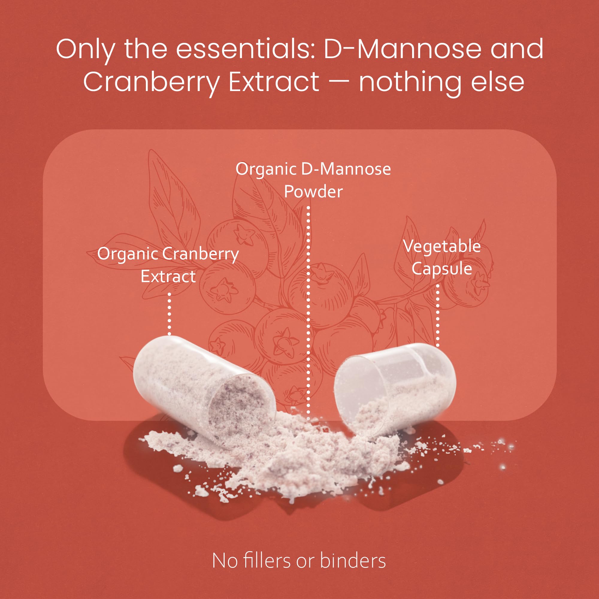 NaturaLife Labs D-Mannose – capsules, ingrédients purs, sans additifs