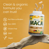 Capsules NaturaLife Labs Maca sans OGM, pratique et adaptée au quotidien.