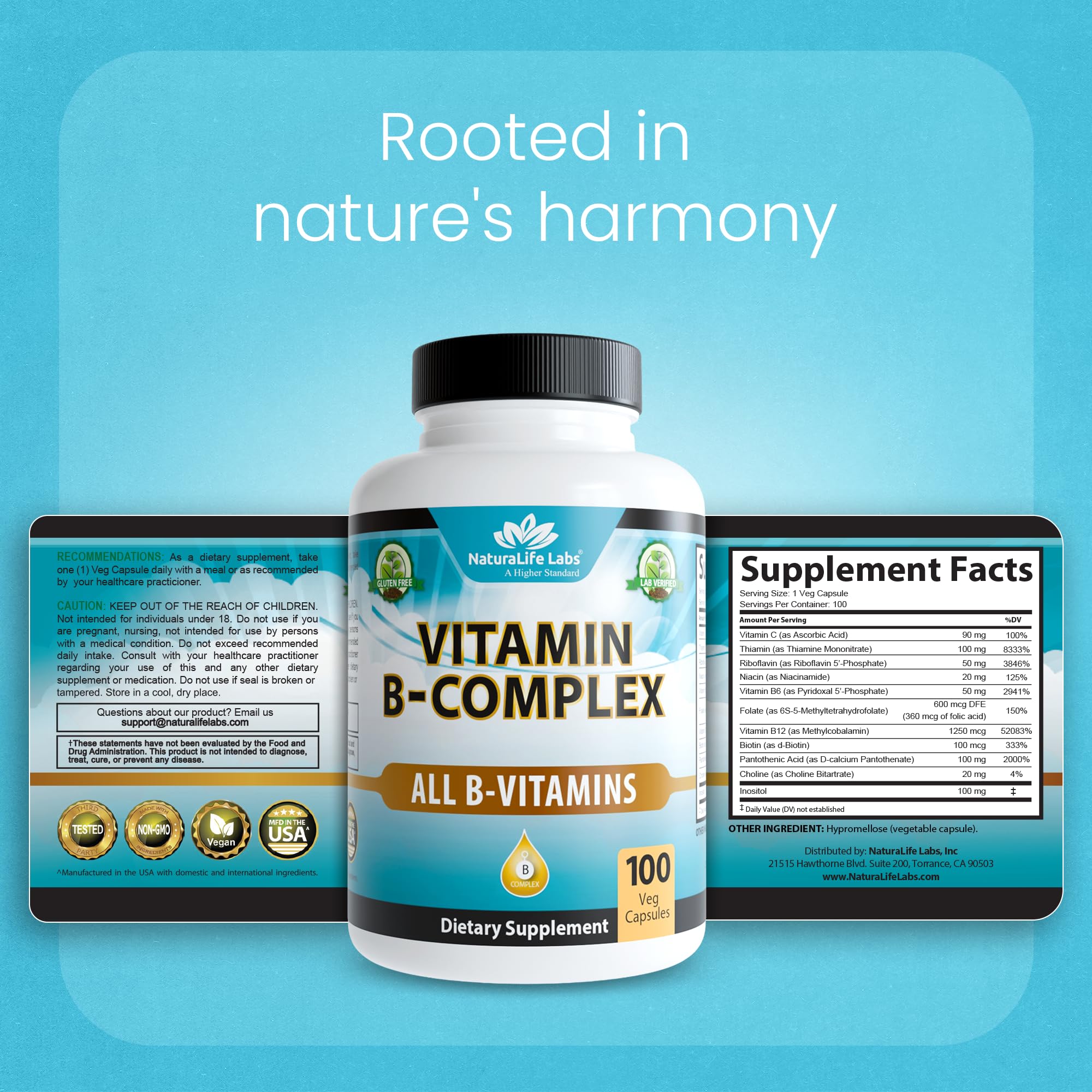 NaturaLife Labs Vitamine B-Complex – complément quotidien pour soutenir le métabolisme normal.