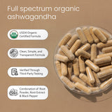 NaturaLife Labs Ashwagandha – extrait de racine et poudre dans le flacon