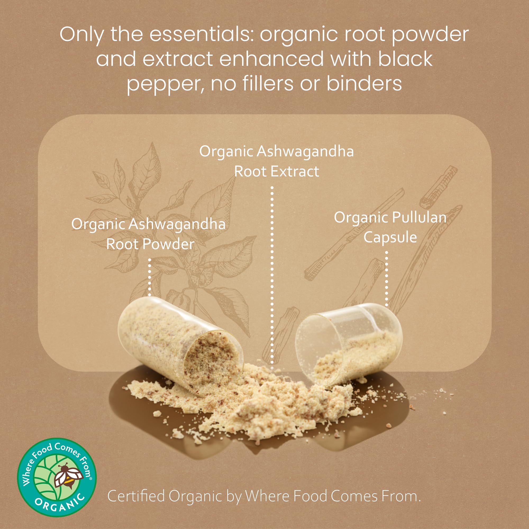 NaturaLife Labs Ashwagandha – poudre et extrait de racine visibles dans l’emballage