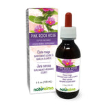Naturalma flacon tincture rose-de-rocher, extrait concentré prêt à l'emploi en gouttes.