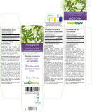 Naturalma Mugwort extrait liquide drops, 2 ml, facile à doser.
