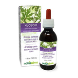 Naturalma Mugwort teinture sans alcool en flacon, convient à une utilisation quotidienne.
