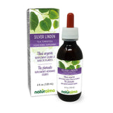 Naturalma tilleul argenté fleurs-bracte, extrait naturel pour un rituel relaxant potentiel.