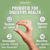 NaturalSlim Probiotiques Doux Solution légère pour soutenir l'équilibre intestinal après les repas
