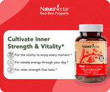 NaturaNectar Propolis Rouge – flavonoïdes variés pour un effet antioxydant potentiel.