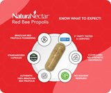 NaturaNectar Propolis Rouge – capsules pratiques pour une vitalité quotidienne.
