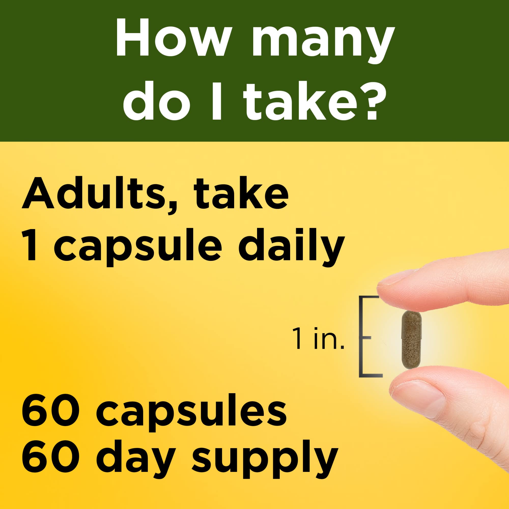 Adaptogène naturel favorisant le calme et l’équilibre quotidien.