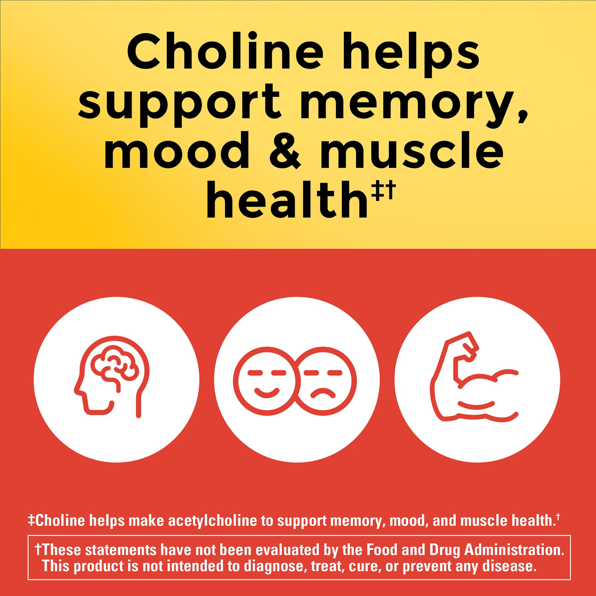 Nature Made Choline Bitartrate – emballage végétarien sans additifs.