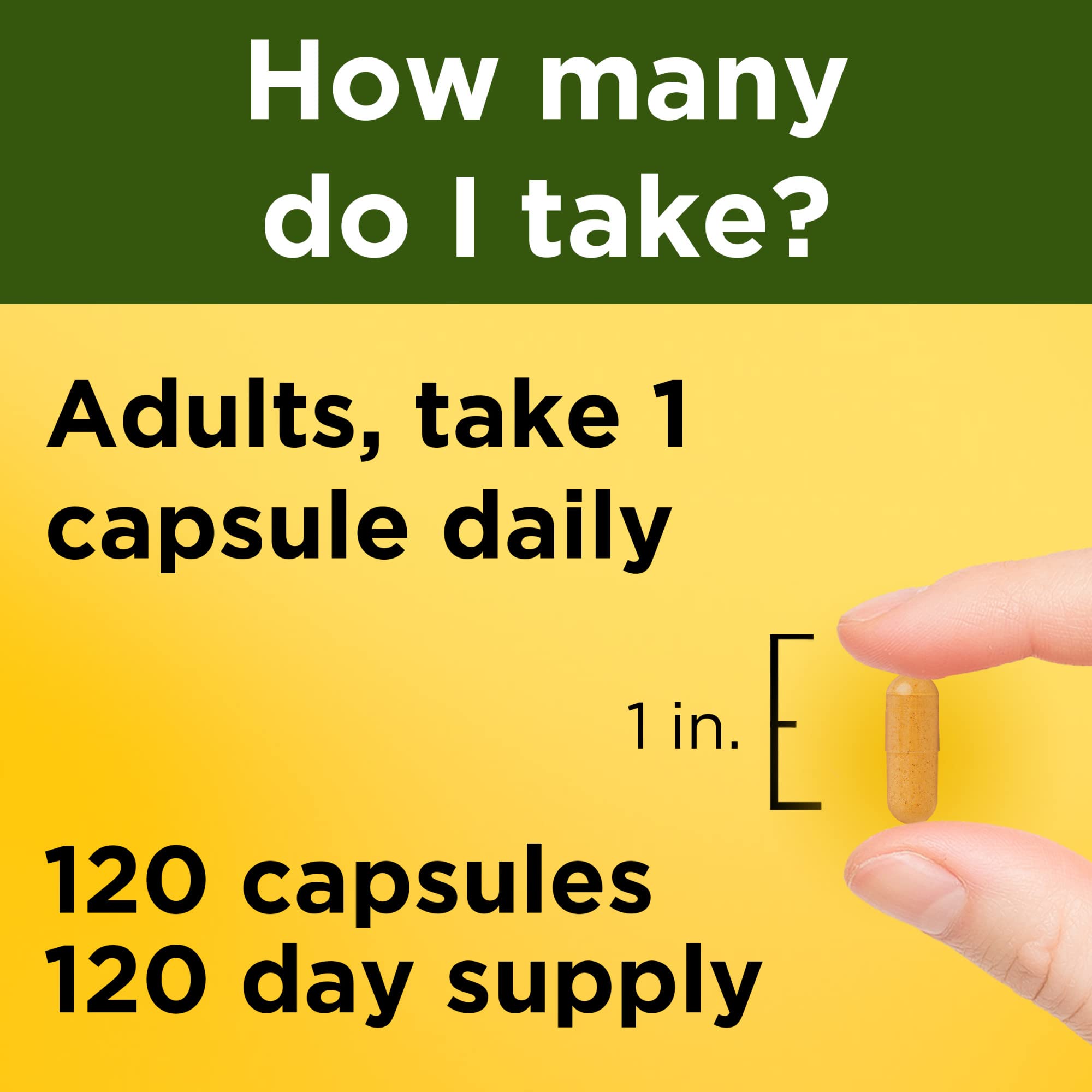 Nature Made Curcumine de curcuma 500 mg — produit sans gluten pour régimes spécifiques.
