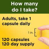 Nature Made Curcumine de curcuma 500 mg — produit sans gluten pour régimes spécifiques.