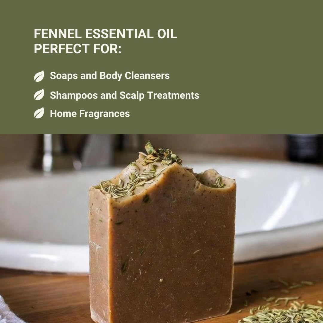 Processus de distillation balkaniques pour l’huile de fenouil Nature Packaged.