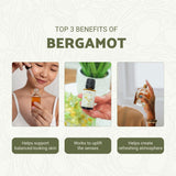 Nature Packaged bergamote huile essentielle: diffuseur prêt pour une atmosphère citrus-florale.