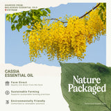 Nature Packaged Cassia: sourcing montagne et artisanat local
