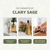 Nature Packaged Clary Sage, diffuseur, ambiance relaxante et équilibrante.