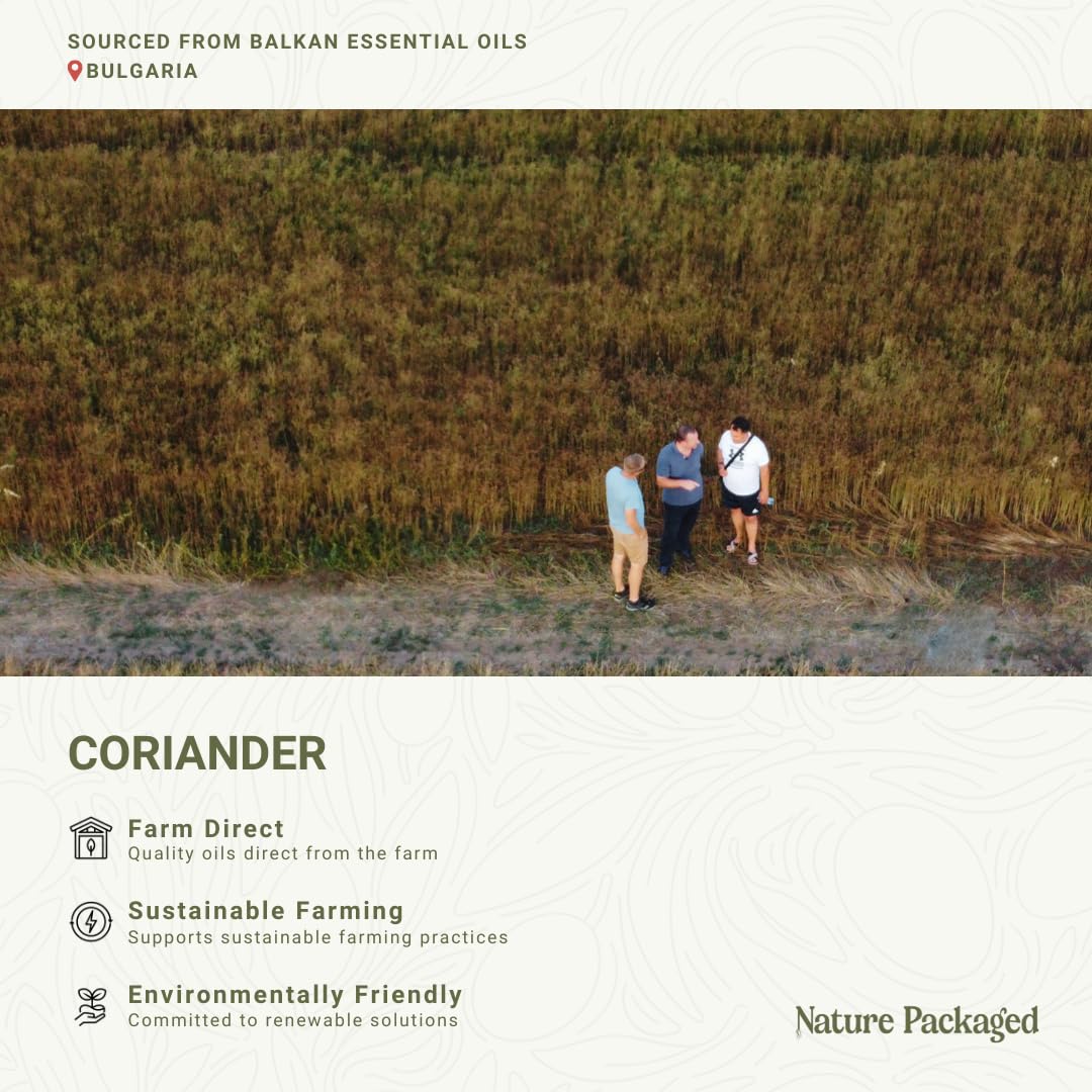 Nature Packaged coriandre huile – flacon idéal pour bougies artisanales et parfums maison.