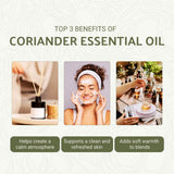 Nature Packaged coriandre huile – diffuseur domestique pour une ambiance apaisante au quotidien.