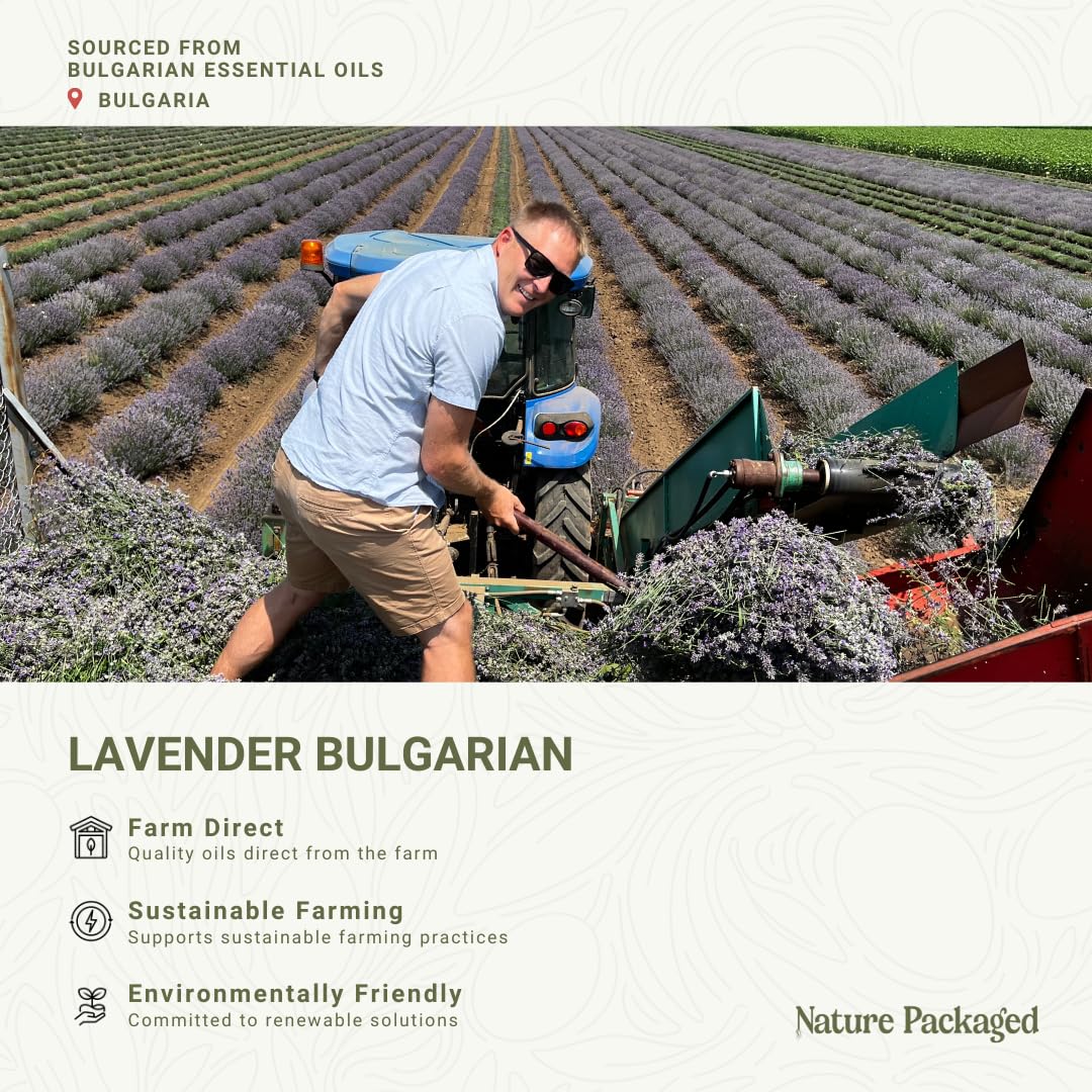 Nature Packaged diffuseur lavande pour ambiance apaisante