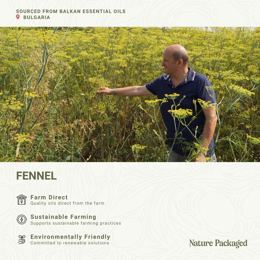 Diffuseur prêt avec huile de fenouil Nature Packaged pour une ambiance relaxante.