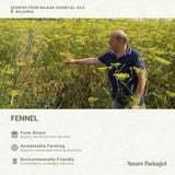 Diffuseur prêt avec huile de fenouil Nature Packaged pour une ambiance relaxante.
