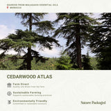 Nature Packaged huile cèdre Atlas – arôme boisée chaude pour une ambiance cosy.