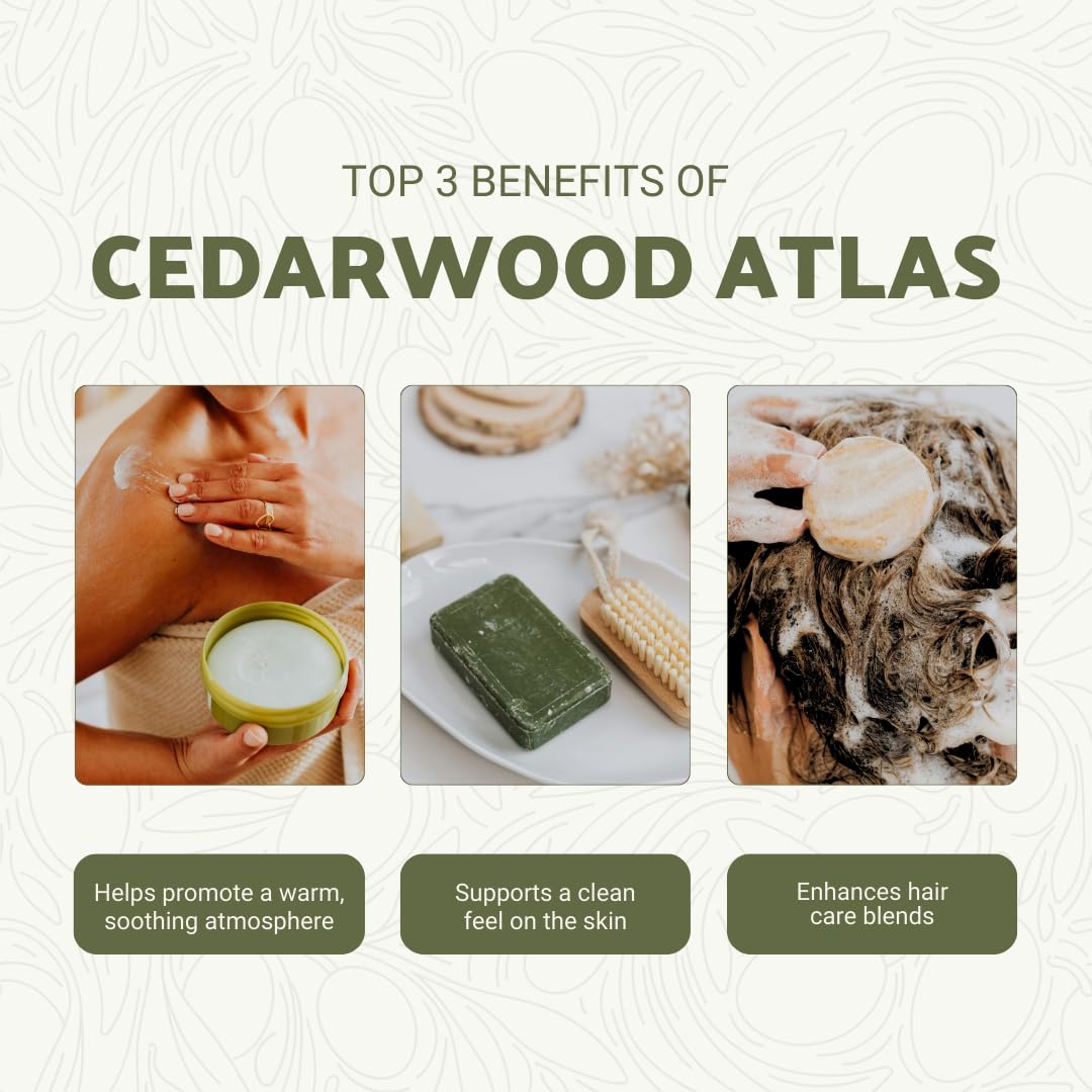 Nature Packaged huile cèdre Atlas – distillation à vapeur pour une pureté aromatique.