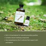 Nature Packaged huile cèdre Atlas – soutien aux producteurs locaux et approvisionnement éthique.