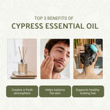 Nature Packaged huile de cyprès 15ml – diffuseur aromathérapie pour ambiance calme.