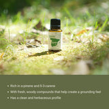 Nature Packaged huile de cyprès 15ml – traçabilité PhytoChemia et pureté documentée.