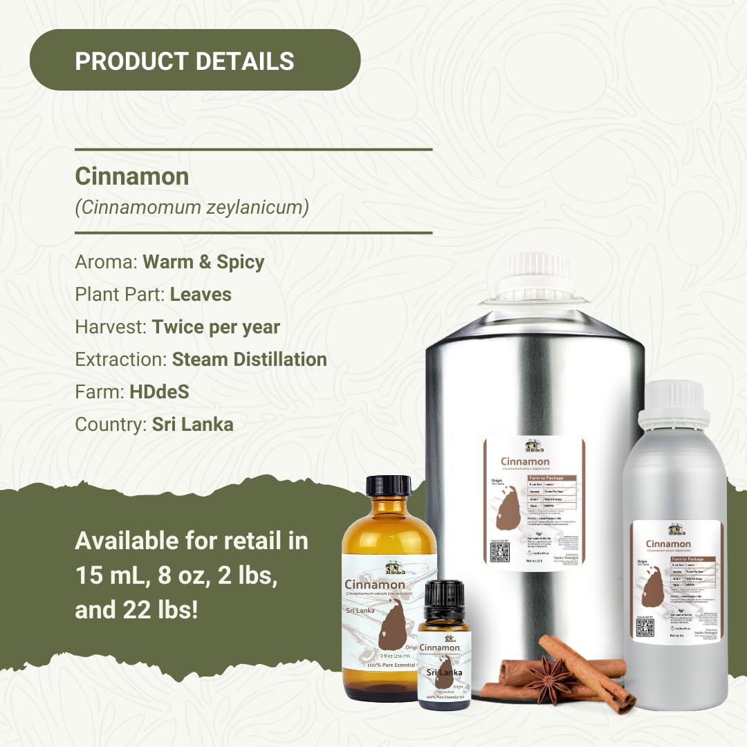 Nature Packaged huile essentielle cannelle – diffusion avec épices et agrumes pour une ambiance cosy