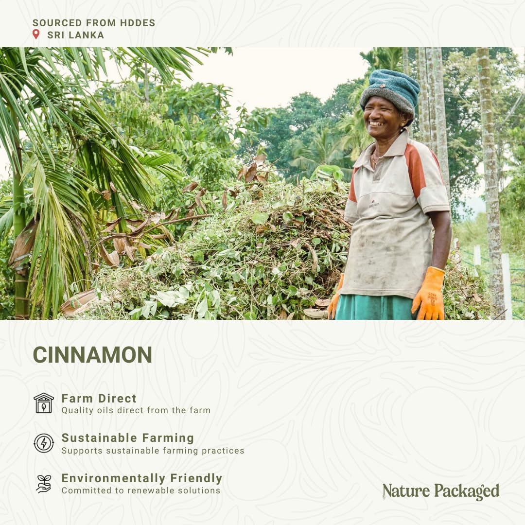 Nature Packaged huile essentielle cannelle – distillation à la vapeur pour une pureté aromatique