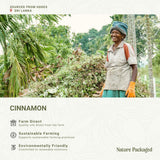 Nature Packaged huile essentielle cannelle – distillation à la vapeur pour une pureté aromatique