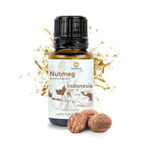 Nature Packaged Muscade – flacon d huile essentielle prêt à diffuser une ambiance chaleureuse