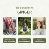 Nature Packaged huile gingembre - flacon ambré préservant efficacité et pureté.