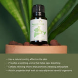 Nature Packaged huile menthe poivrée pour bougie DIY, ambiance fraîche