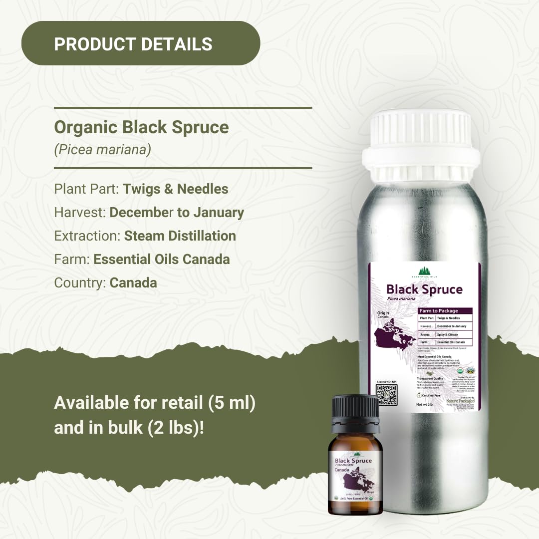 Nature Packaged huile sapin noir – bougie parfumée pour ambiance naturelle.
