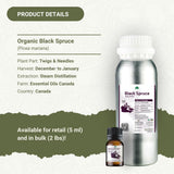 Nature Packaged huile sapin noir – bougie parfumée pour ambiance naturelle.