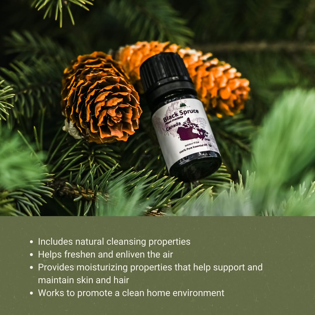 Nature Packaged huile sapin noir – pipette pour dosage précis.