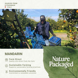 Nature Packaged mandarine – diffuseur-ambiance offre une atmosphère citronnée et vivifiante.