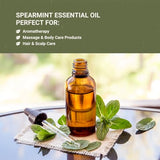 Nature Packaged huile essentielle menthe verte pour diffusion et ambiance énergisante
