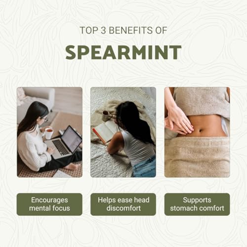Nature Packaged menthe verte diffuseur aromathérapie libérant une fraîcheur revigorante